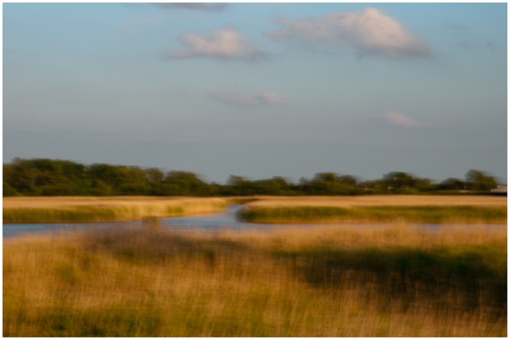 Boddenlandschaft bei Zingst 3