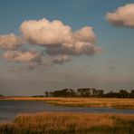 Boddenlandschaft bei Zingst 5