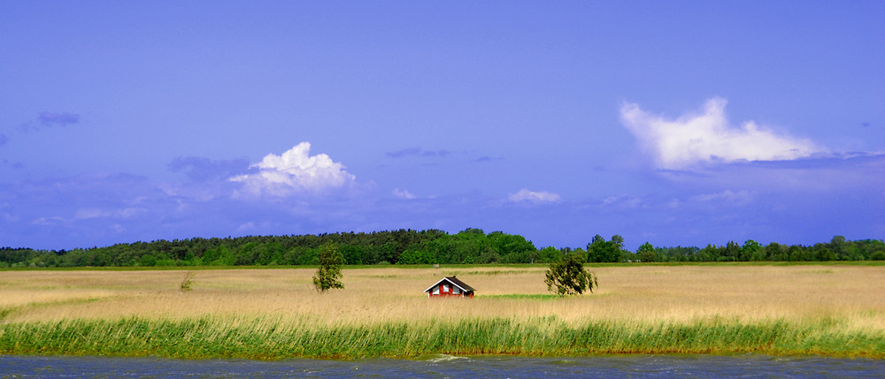 Boddenlandschaft bei Zingst (MVP)