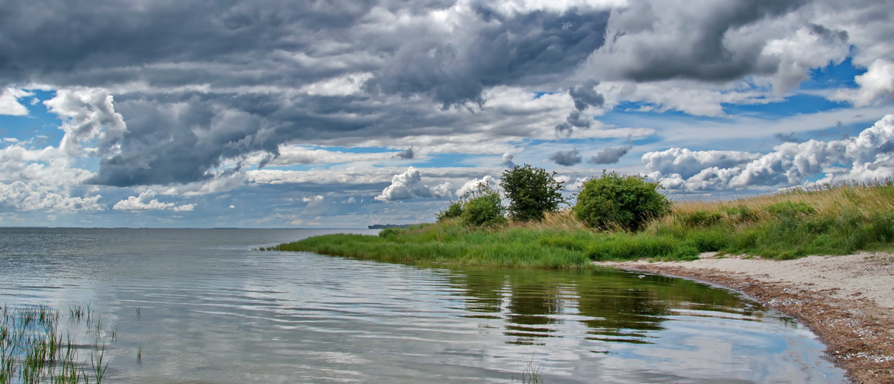 Boddenlandschaft