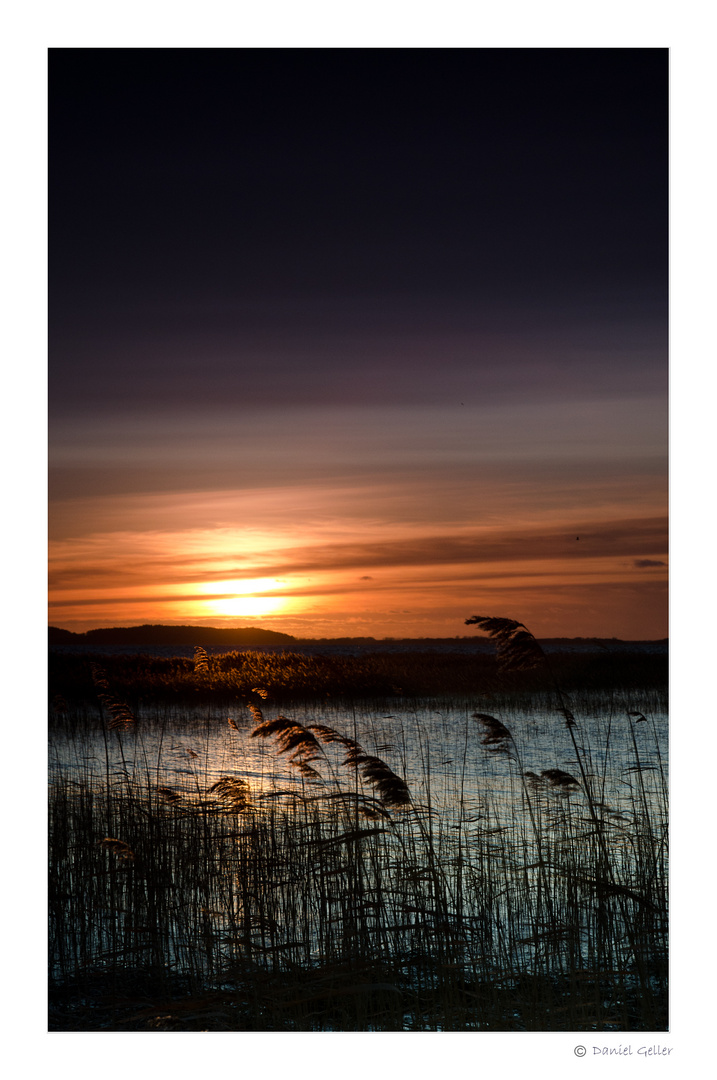 Boddenlandschaft im Abendlicht 2