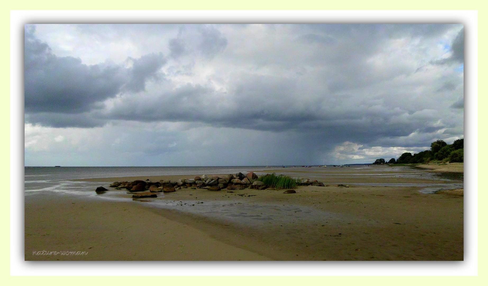 Boddenlandschaft im Regen