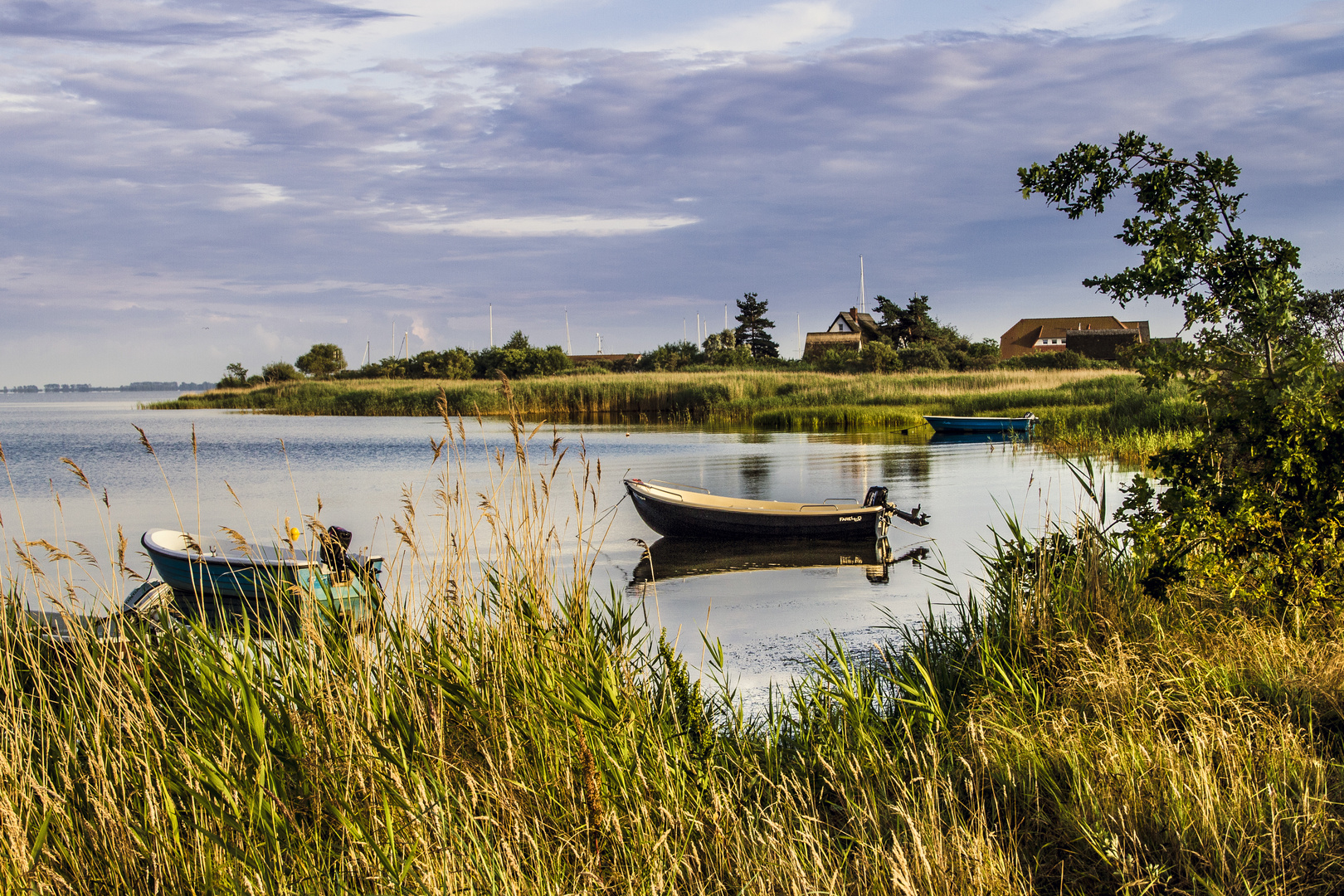 Boddenlandschaft in der Abendsonne