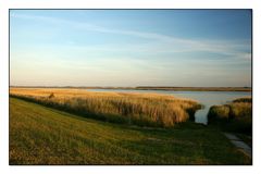 Boddenlandschaft vor Zingst