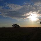 Boddenlandschaft zum Ende des Sommertages