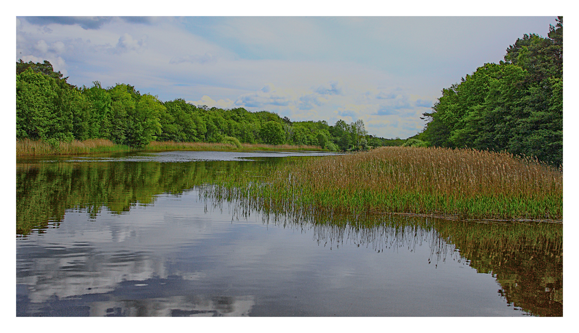 Boddenlandschaft zum Spiegeltag