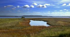 Boddenlandschaft..der Ostdeich