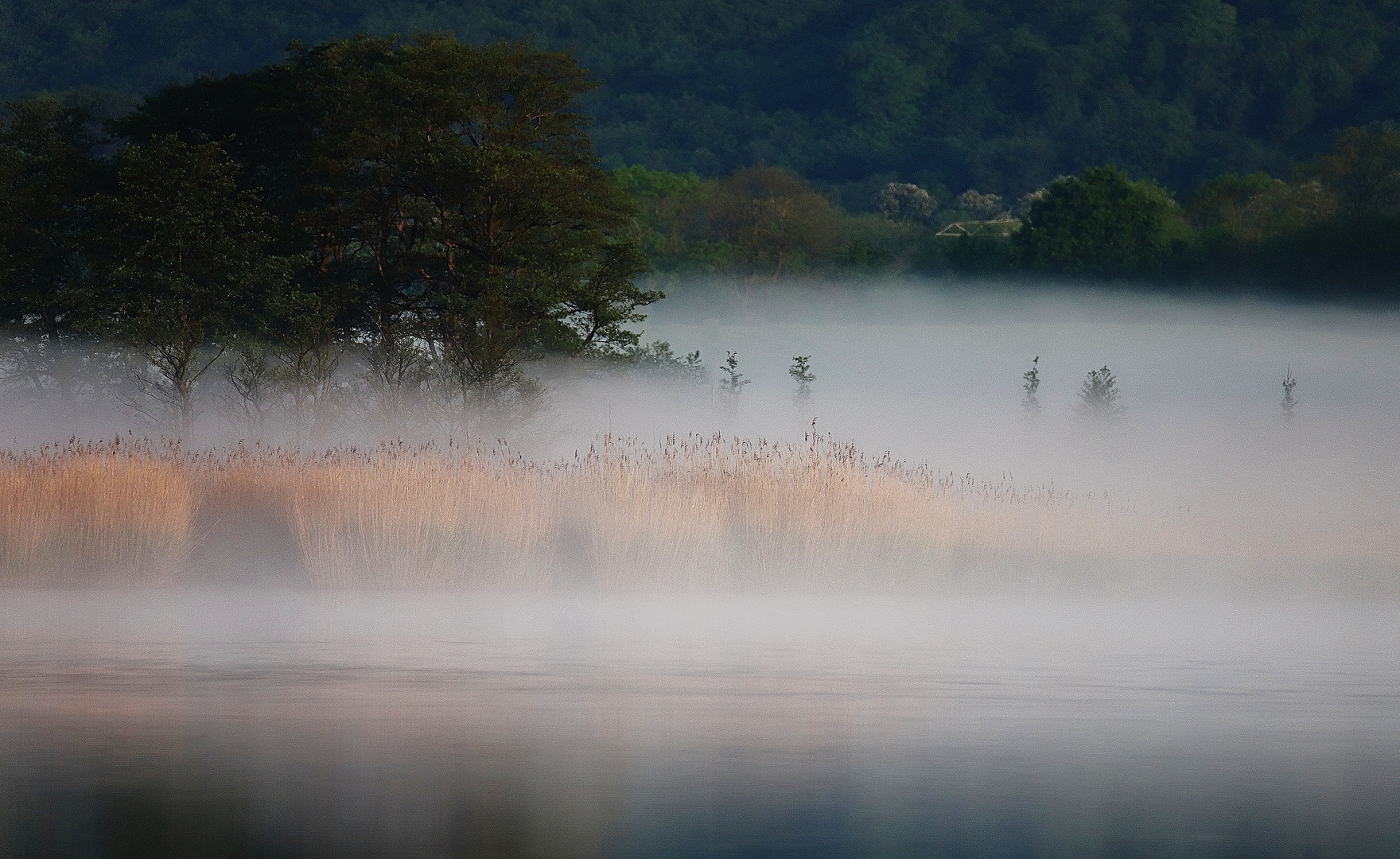 Boddennebel auf Rügen