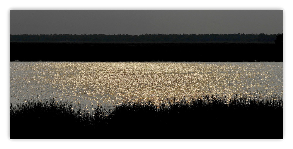 Boddenstimmung im Gegenlicht