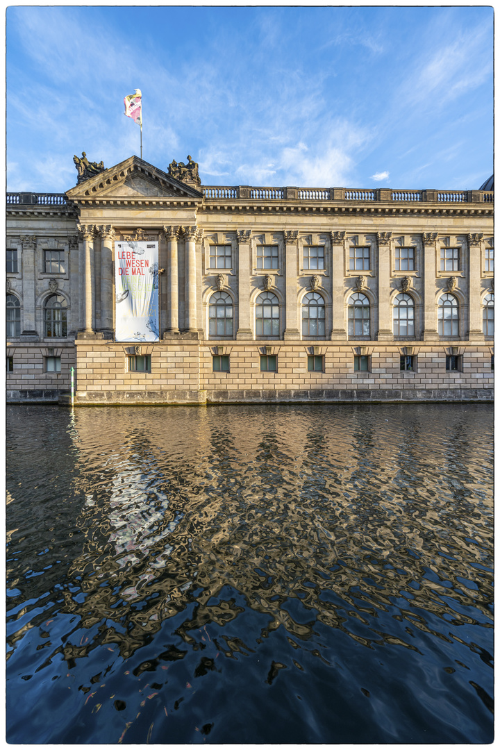 Bode-Museum: Lebewesen die mal......