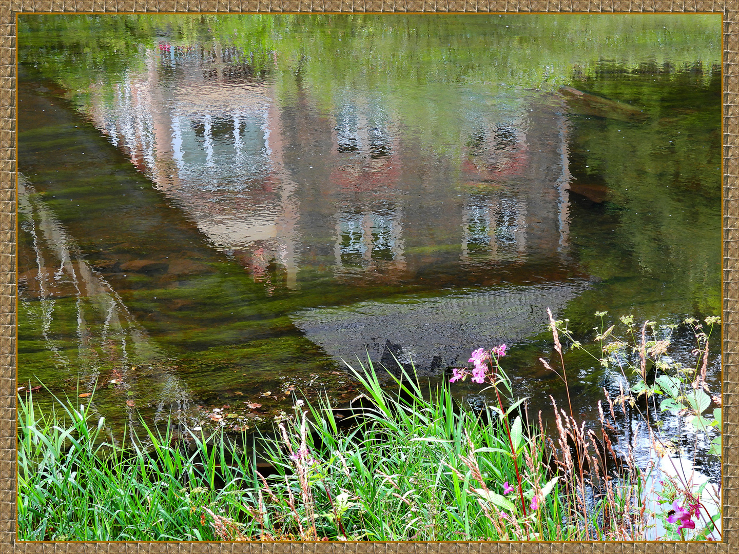 Bode-Wasser-Spiegel