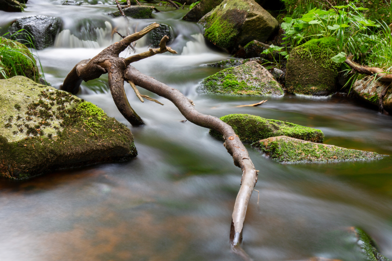 Bodefälle im Harz Nationalpark