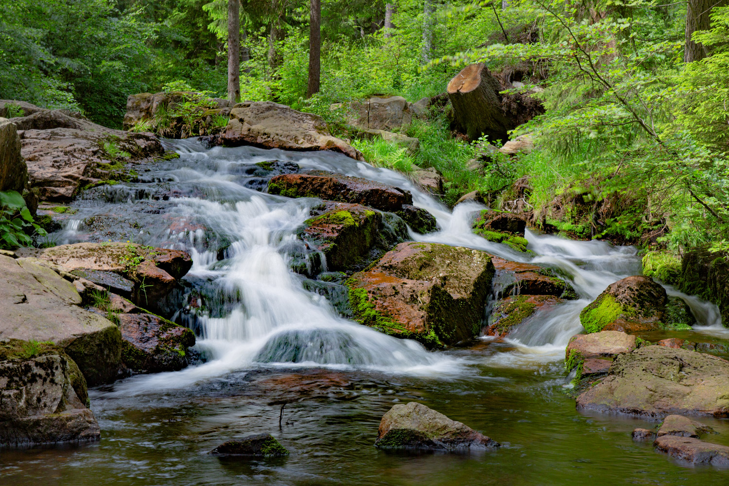 Bodefälle im Harz Nationalpark Foto & Bild | deutschland, europe