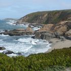 Bodega Bay