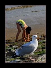 Bodega Bay