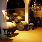 Bodega "Gonzalez Byass"-Tio Pepe