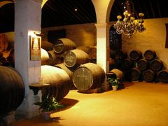 Bodega "Gonzalez Byass"-Tio Pepe