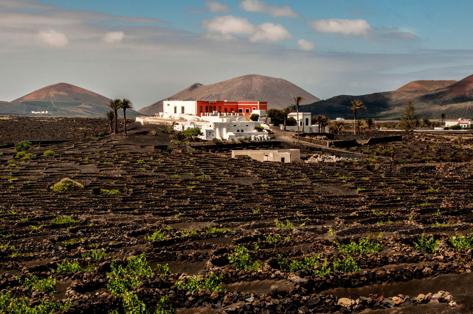 Bodega in La Geria