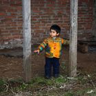 Bodegas en el campo