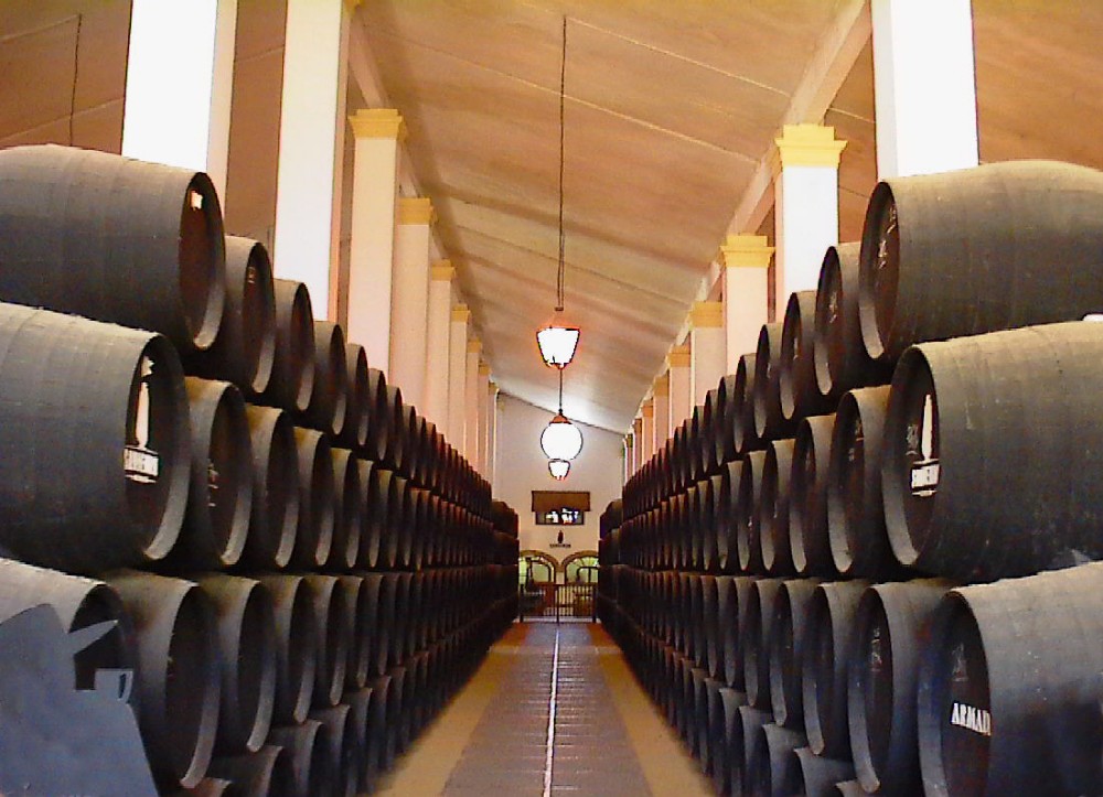 Bodegas in Jerez de la Fronterera