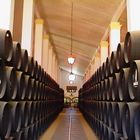 Bodegas in Jerez de la Fronterera