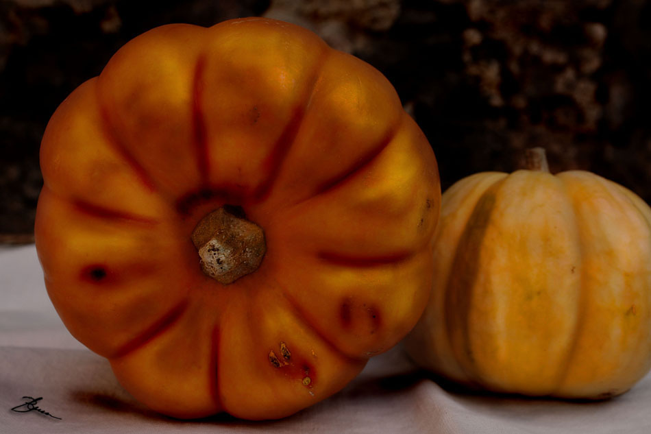 Bodegón con calabazas II