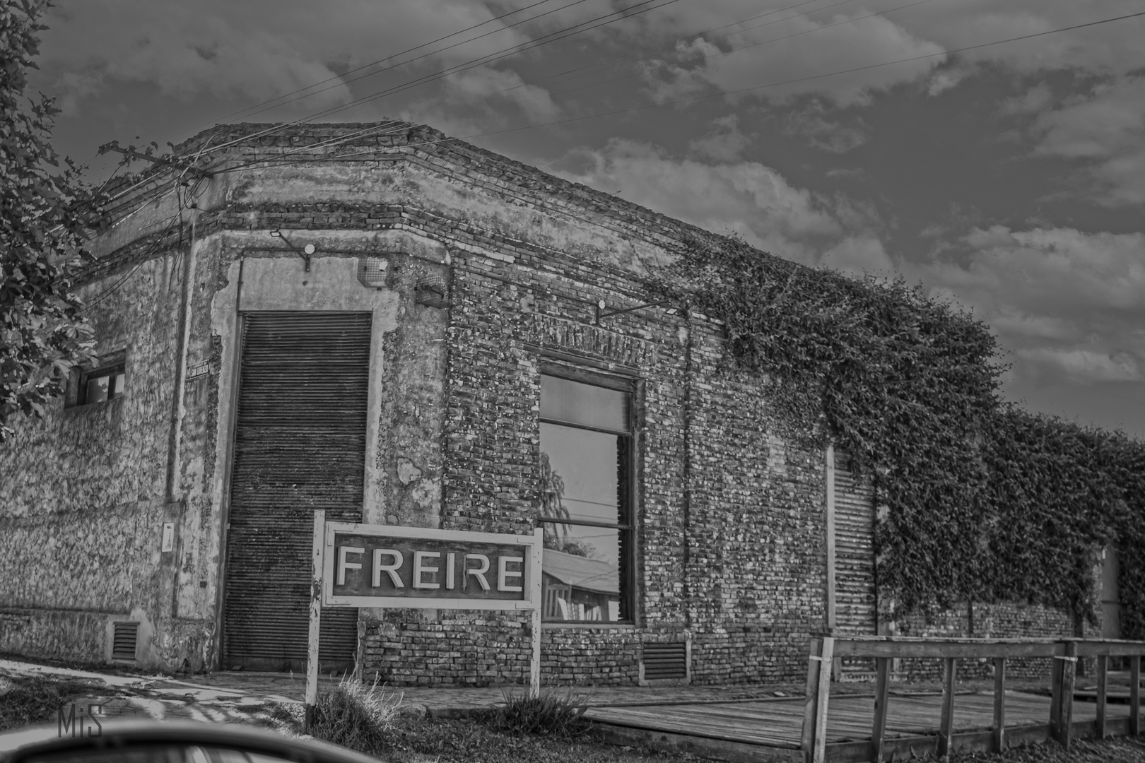 Bodegón Freire