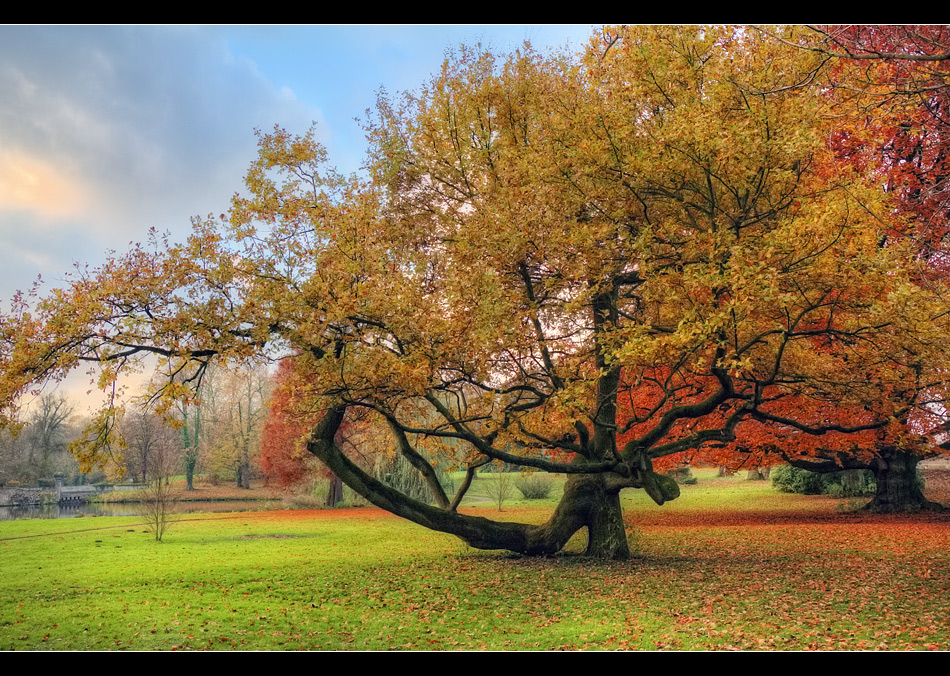 Bodelschwingh Park