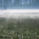 Boden-Nebel