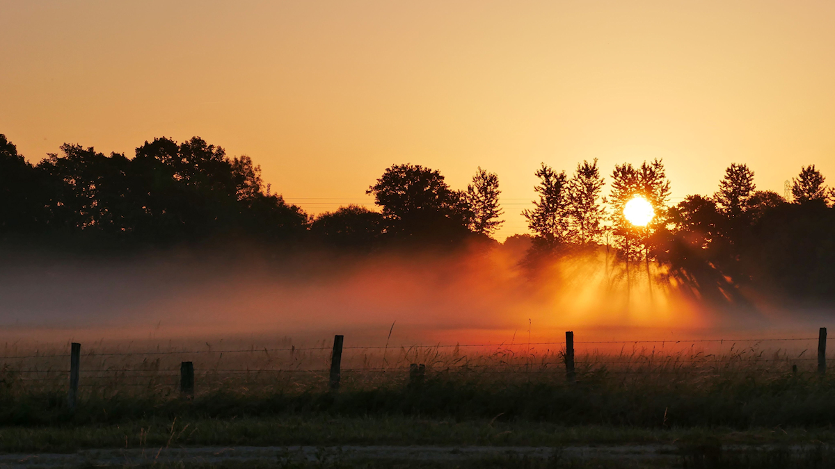 Boden-Nebel....