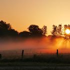 Boden-Nebel....