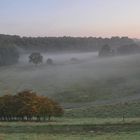 Boden - Nebel