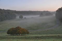 Boden - Nebel