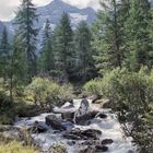 Bodenalm im Zillertal