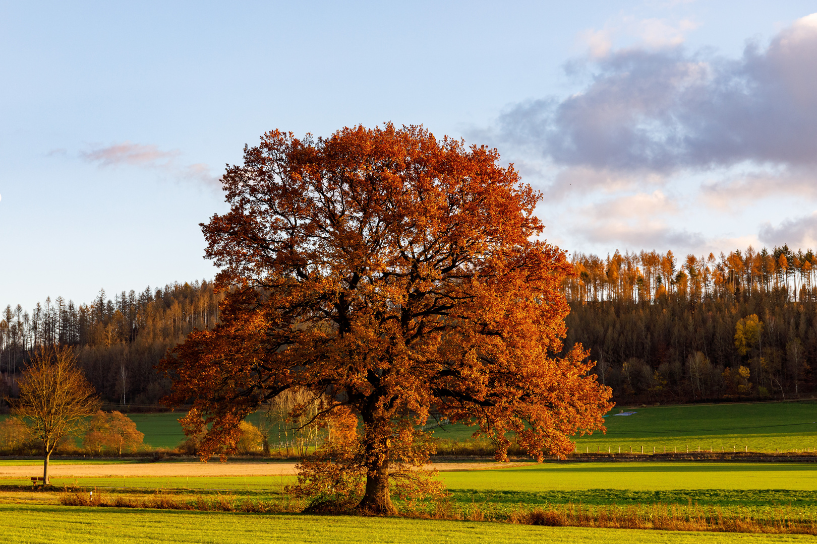 Bodenfelde, Goldener November