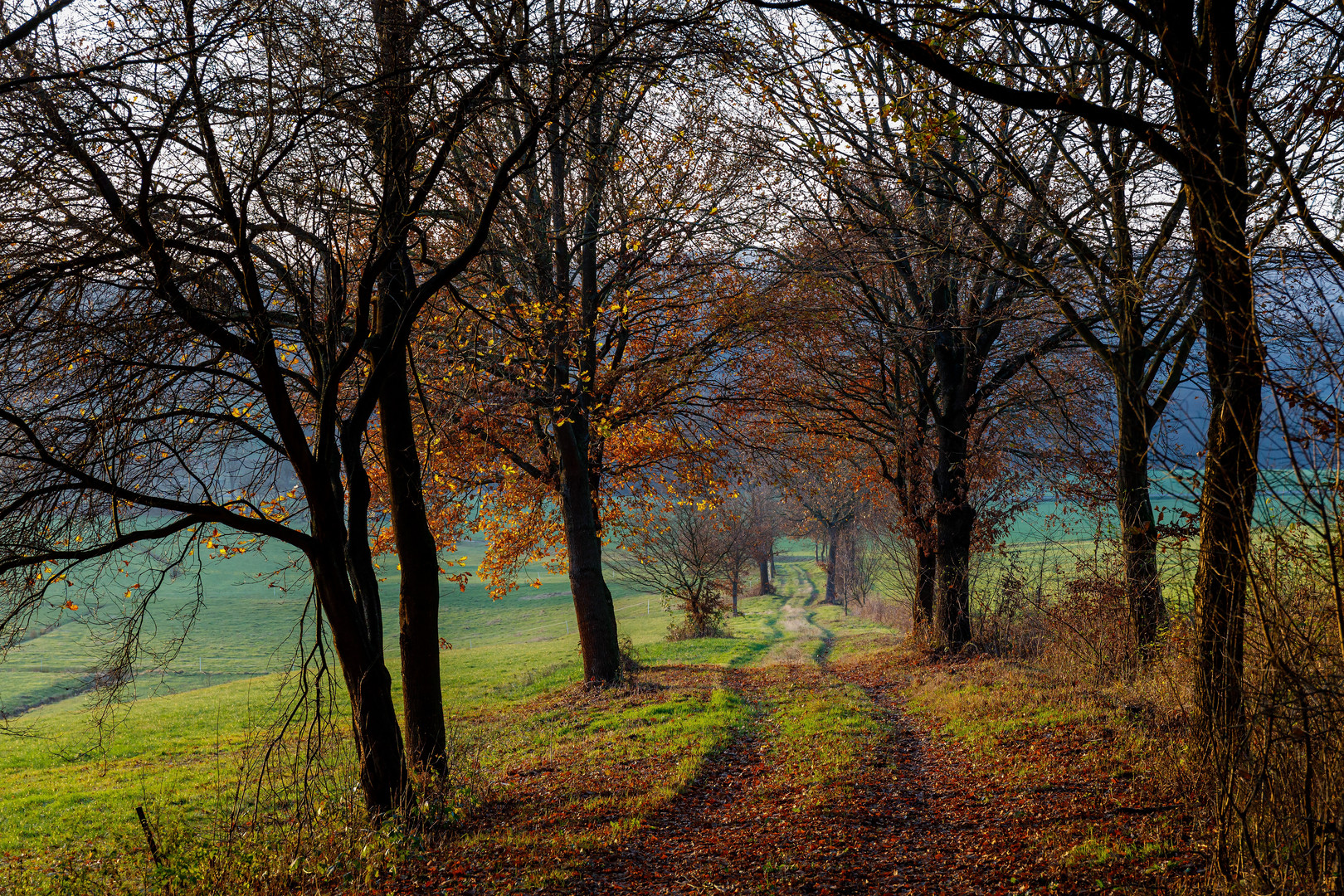 Bodenfelde / Wahmbeck