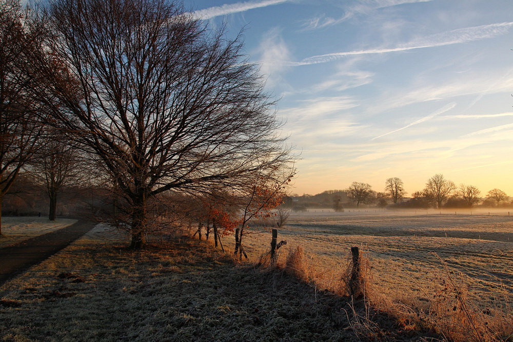 Bodenfrost