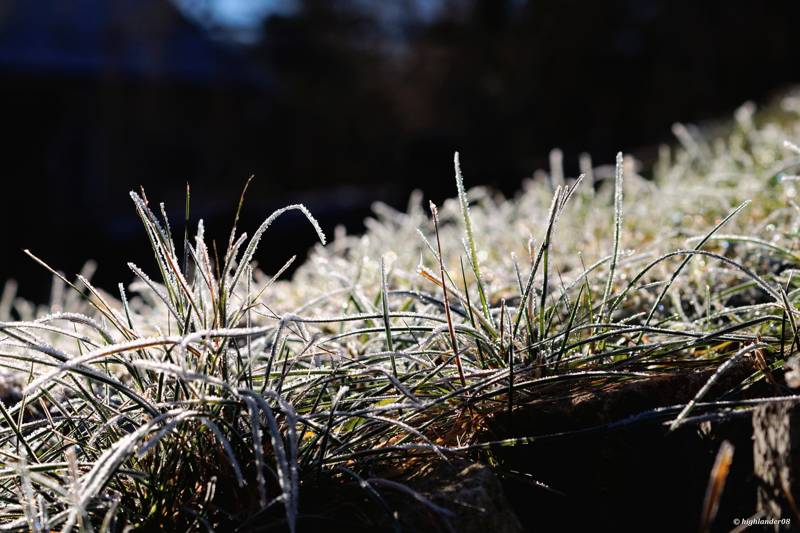 Bodenfrost