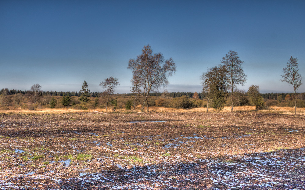 Bodenfrost im Hochmoor