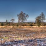 Bodenfrost im Hochmoor