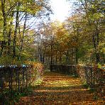 bodenleger - herbstlaub