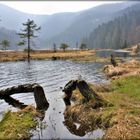 Bodenmais Arbersee