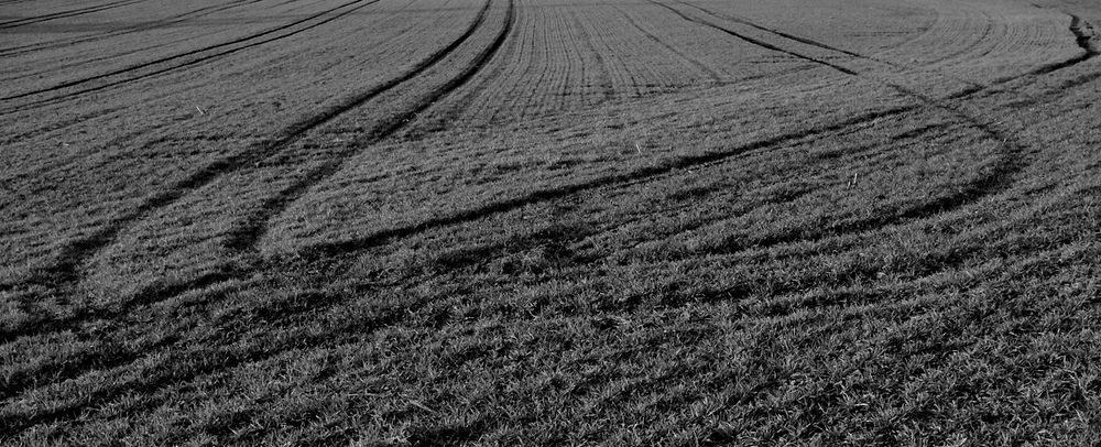 Bodennah Foto & Bild | abstraktes, linien, heimat Bilder auf fotocommunity