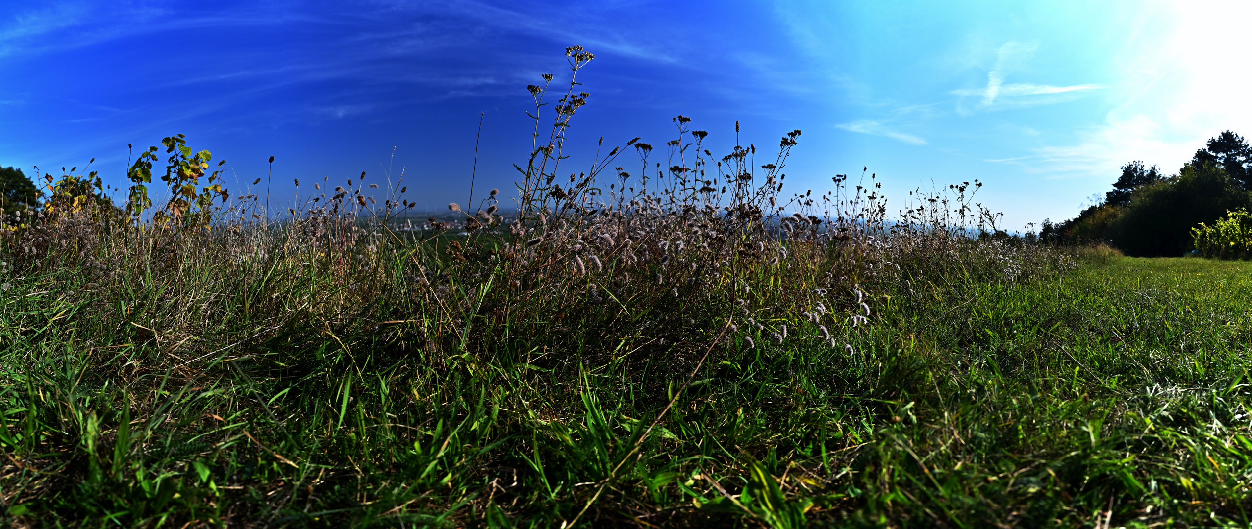 Bodennahes Pano Test