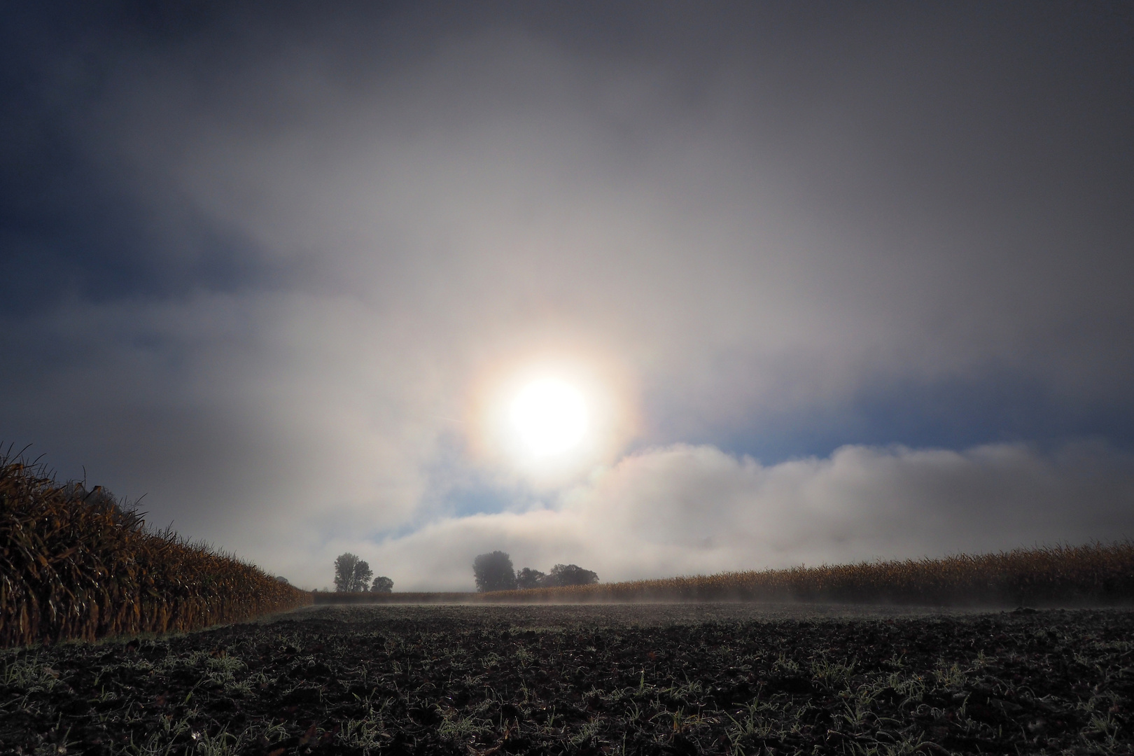 Bodennebel