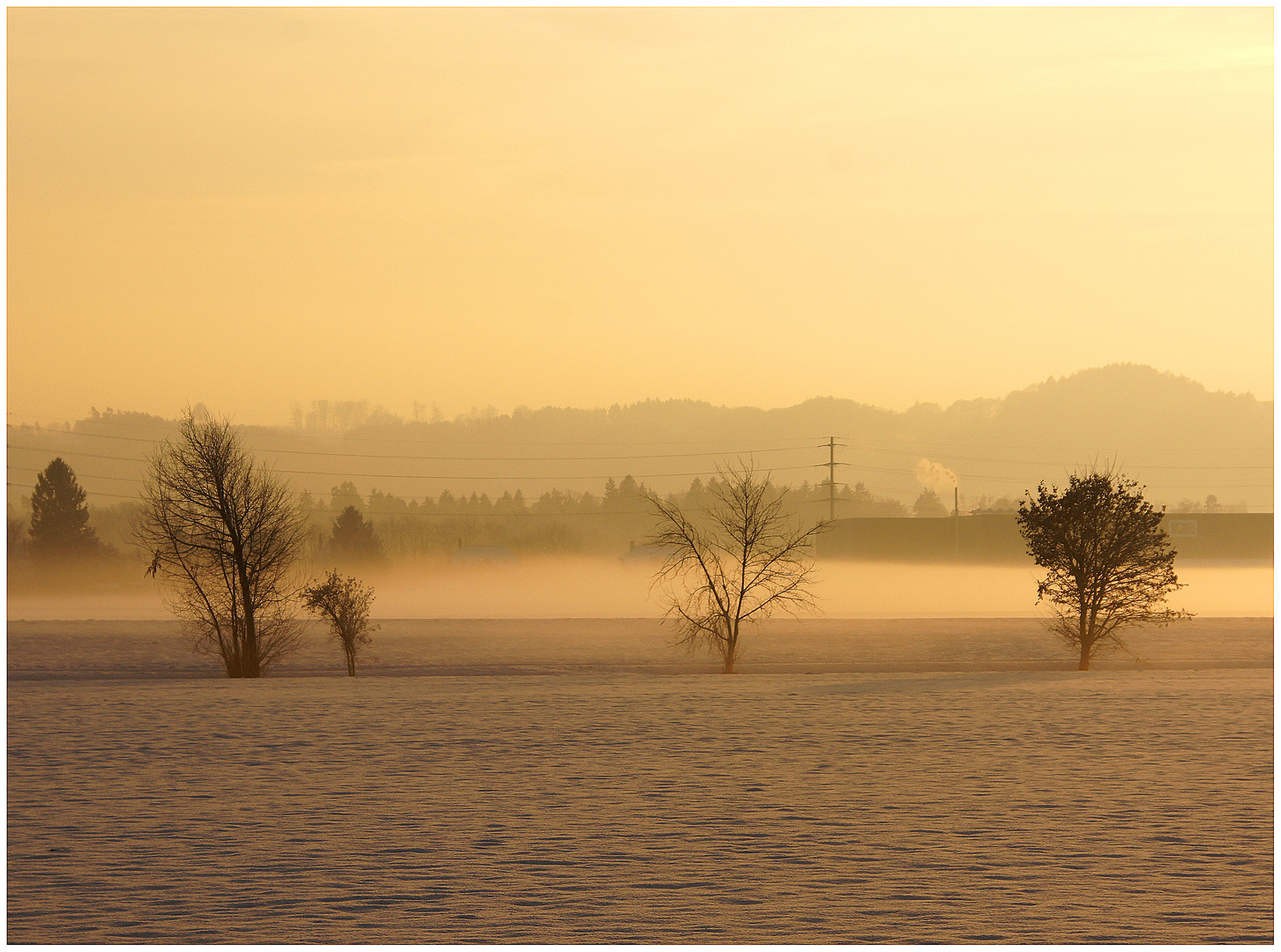 Bodennebel