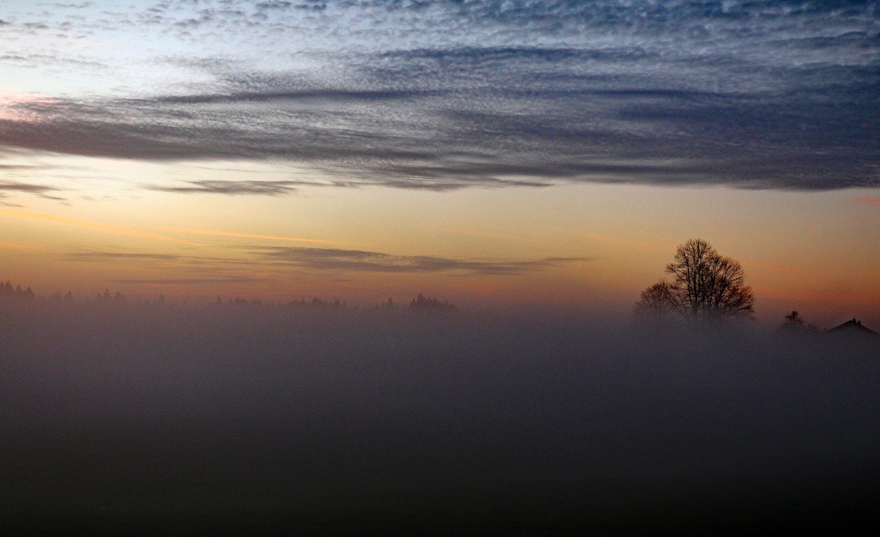 Bodennebel