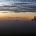 Bodennebel