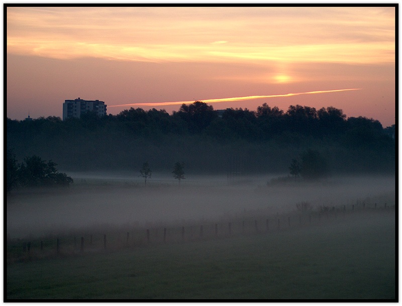 Bodennebel 2