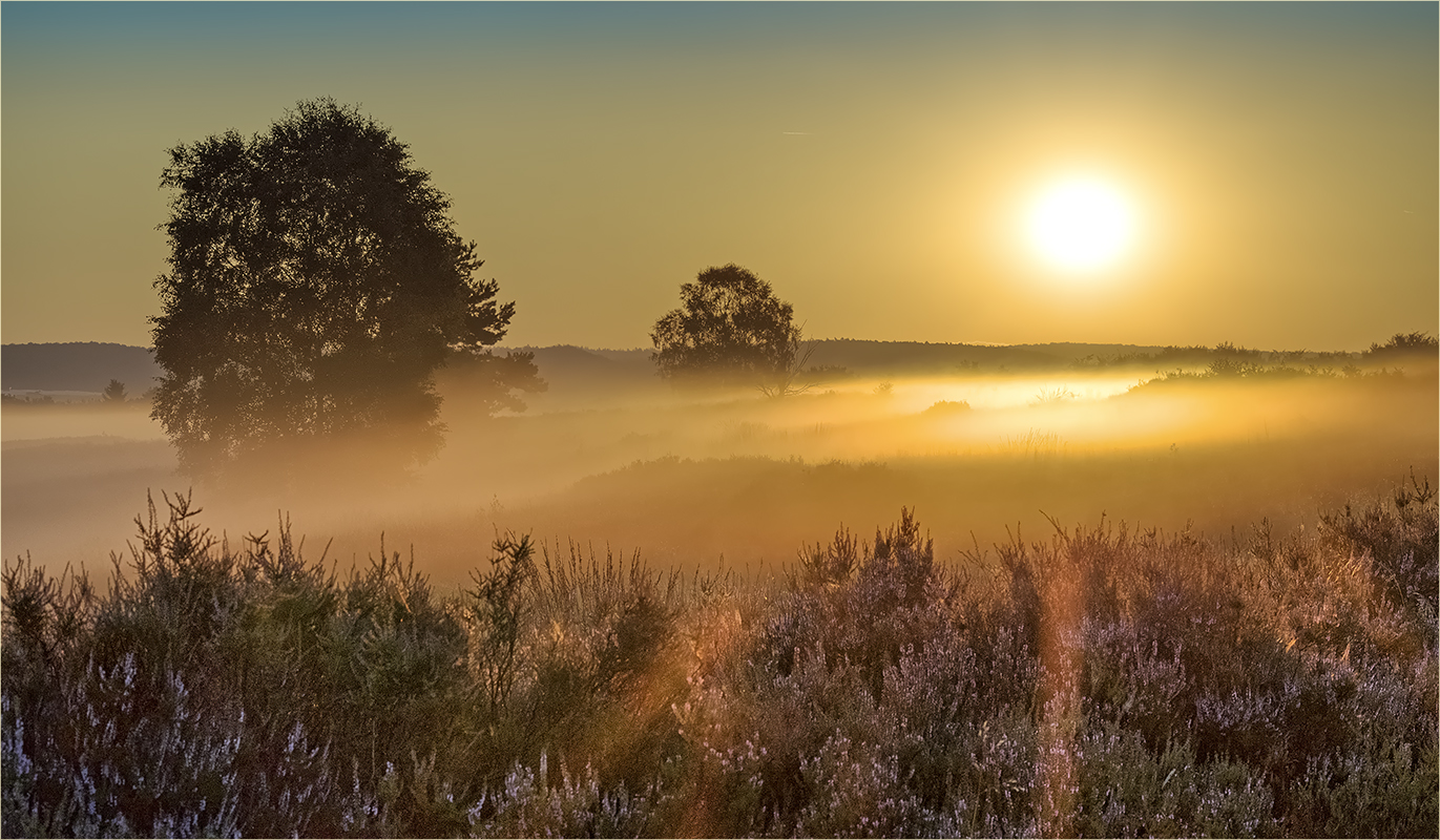 bodennebel...